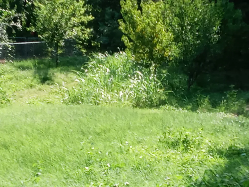 Custom lawn care service for homes across Tulsa, OK - Stagg Lawn Care & Removal