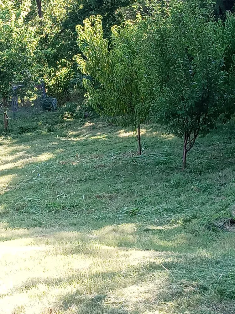 Top-rated outdoor landscaping with custom design in Tulsa, OK by Stagg Lawn Care & Removal