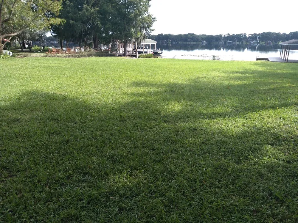 Trusted yard maintenance in Orlando, FL by Stagg Lawns and Landscaping