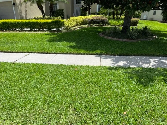 Professional lawn care service for beautiful yards across Orlando, FL - Stagg Lawns and Landscaping