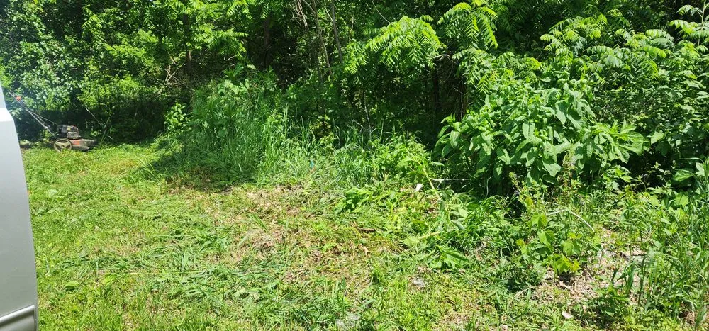 Professional landscaping services in Lawton, MI - Staggs Mowing