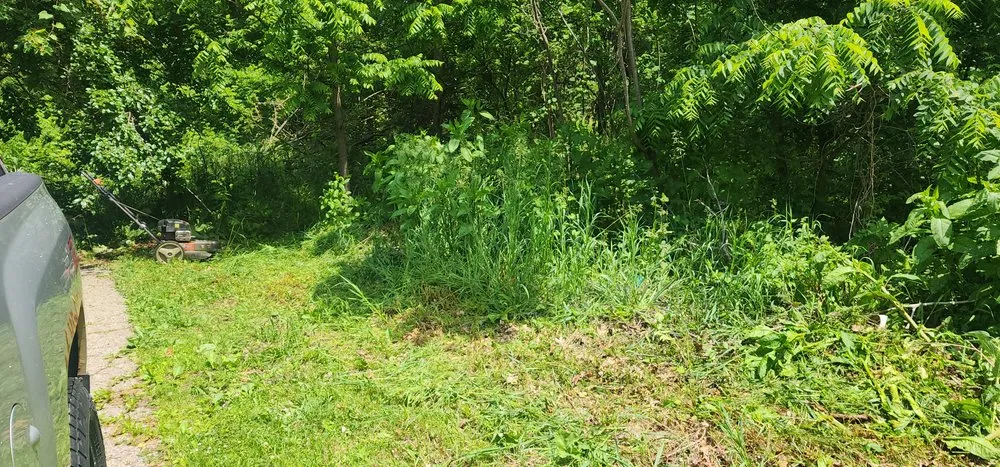 Expert lawn care service for homes across Lawton, MI - Staggs Mowing