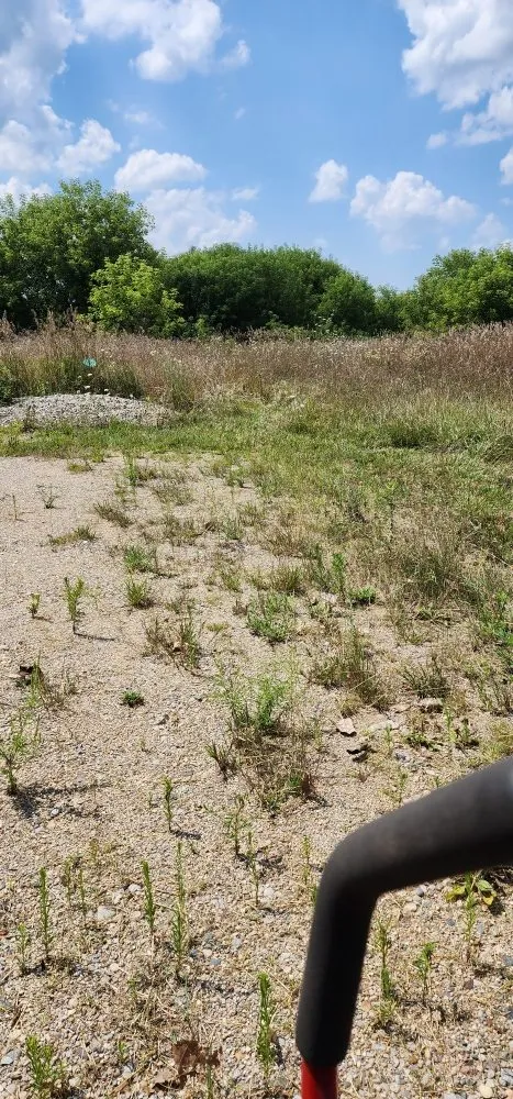 Trusted landscape installation for outdoor upgrades in Lawton, MI by Staggs Mowing