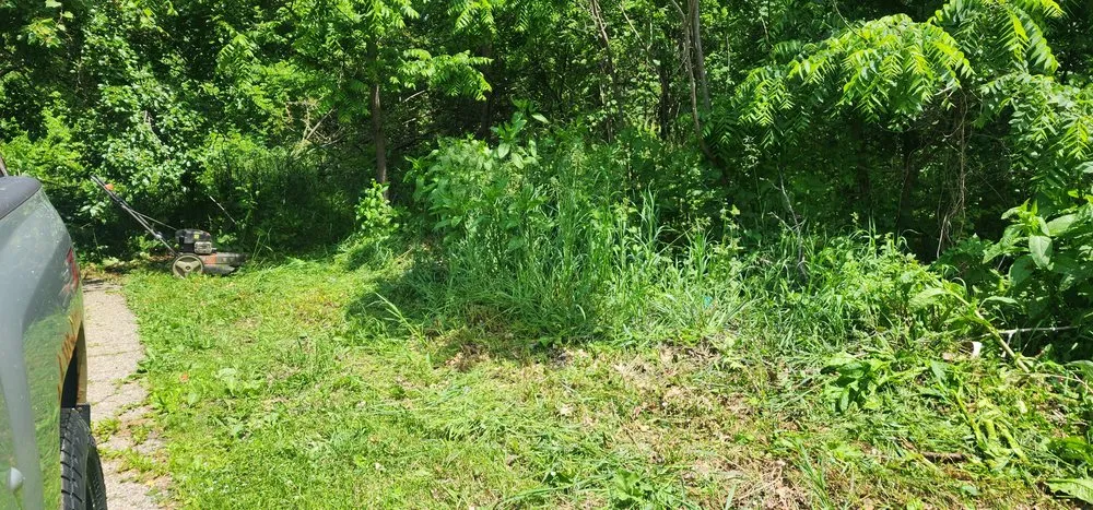 Affordable yard cleanup service for year-round maintenance across Lawton, MI - Staggs Mowing