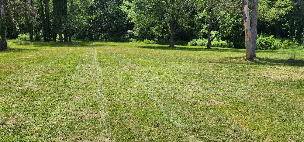Expert lawn care service for homes across Lawton, MI - Staggs Mowing
