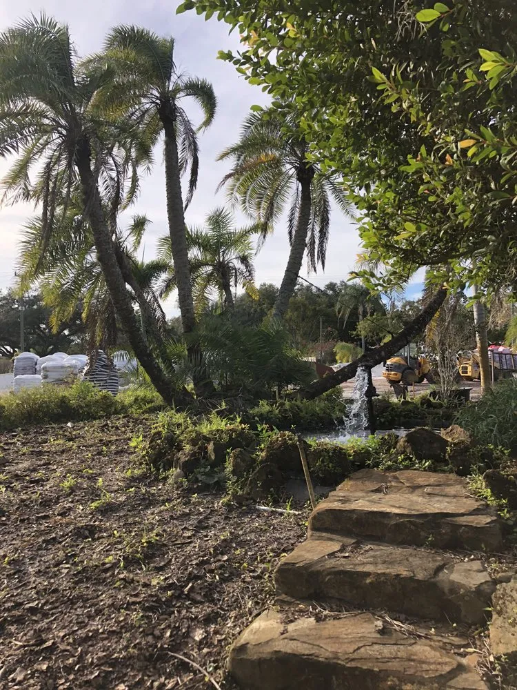 Expert yard maintenance near you across Dover, FL - Staggs Nursery & Tree Service