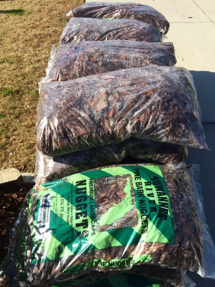 Expert landscape installation for beautiful yards in Dover, FL by Staggs Nursery & Tree Service