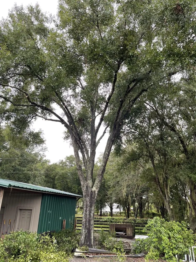 Custom garden landscaping for homes across Dover, FL - Staggs Nursery & Tree Service