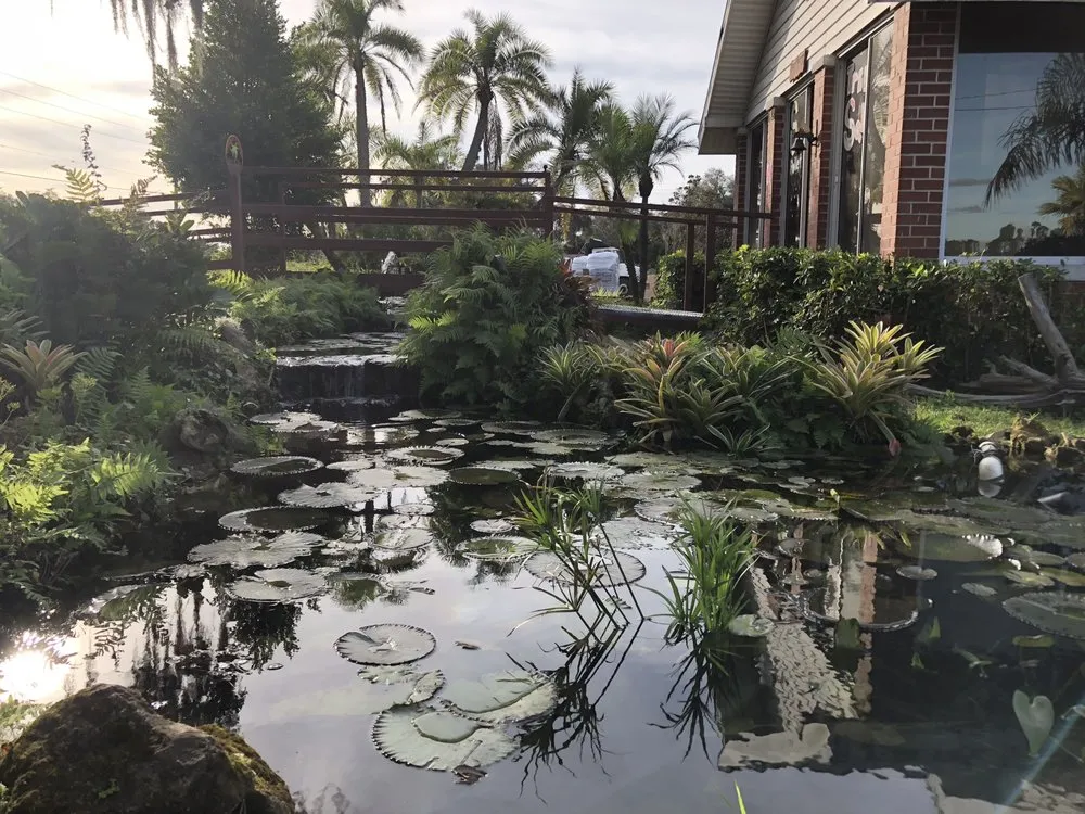 Local lawn care service for year-round maintenance in Dover, FL by Staggs Nursery & Tree Service