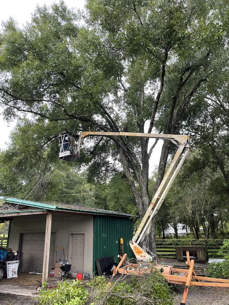 Trusted outdoor landscaping in Dover, FL - Staggs Nursery & Tree Service