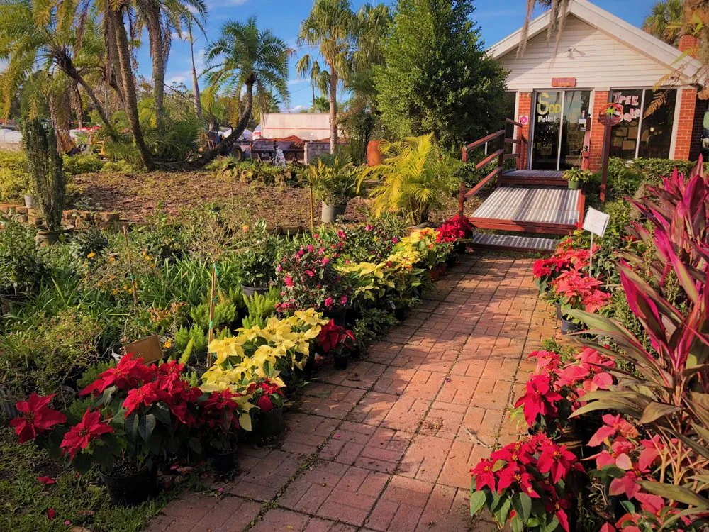 Affordable lawn care service in Dover, FL - Staggs Nursery & Tree Service