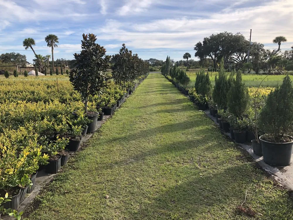 Reliable outdoor landscaping experts serving Dover, FL - Staggs Nursery & Tree Service