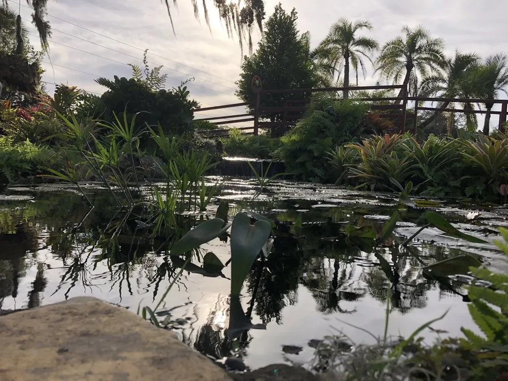 Expert residential landscaping experts serving Dover, FL - Staggs Nursery & Tree Service