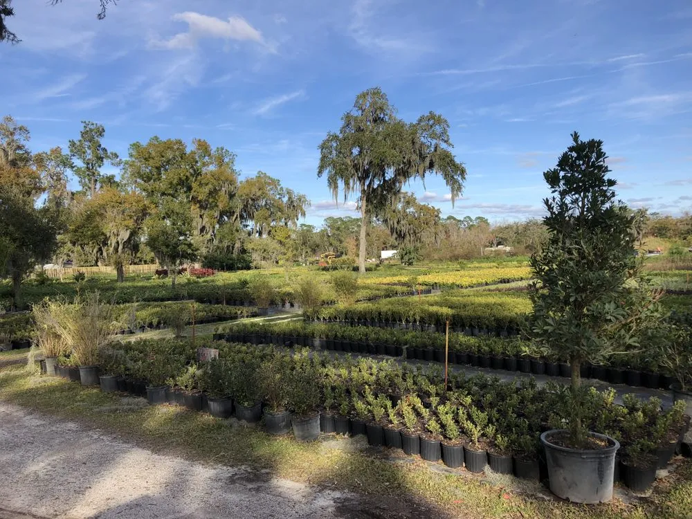 Reliable outdoor landscaping in Dover, FL by Staggs Nursery & Tree Service