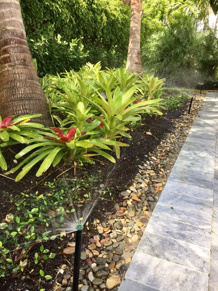 Affordable yard maintenance experts serving Naples, FL - Stahlman-England