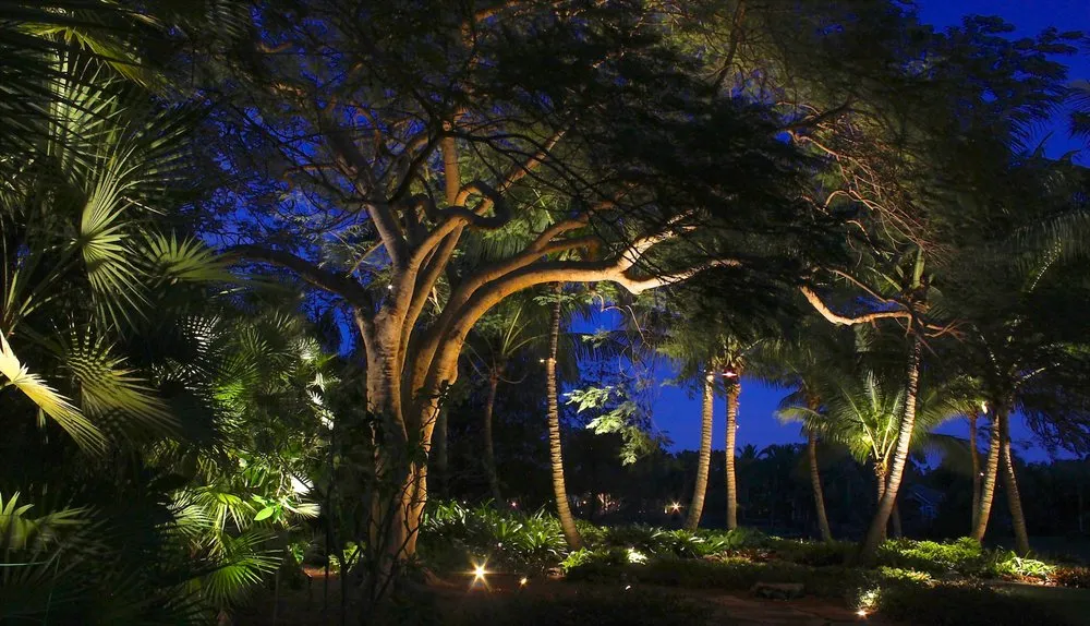 Local landscape installation experts serving Naples, FL - Stahlman-England