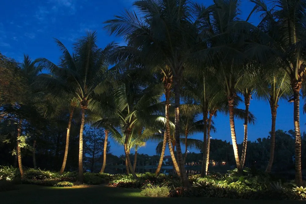 Affordable lawn care service for year-round maintenance in Naples, FL by Stahlman-England