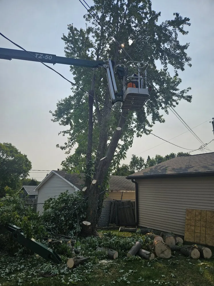 Local landscape installation with custom design in Chisholm, MN by Stahl’s Stump Grinding