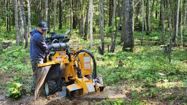 Stahl’s Stump Grinding