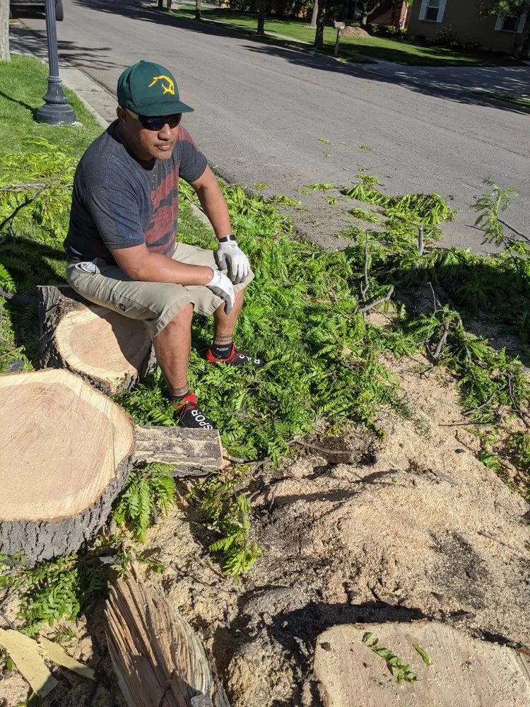 Local yard maintenance for year-round maintenance across Salt Lake City, UT - Stali Service