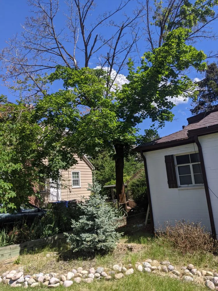 Trusted landscape design for year-round maintenance across Salt Lake City, UT - Stali Service