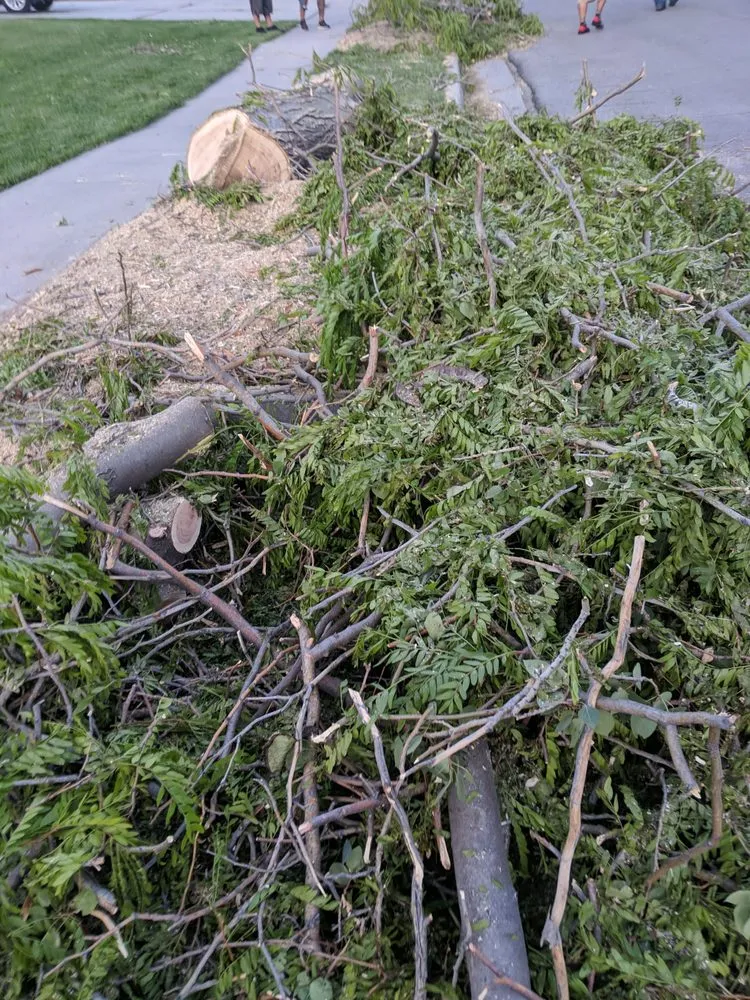 Local landscape installation in Salt Lake City, UT by Stali Service