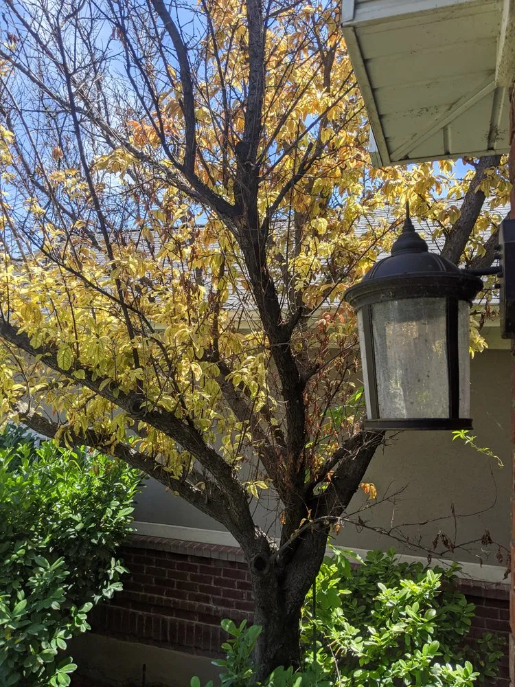 Expert outdoor landscaping near you across Salt Lake City, UT - Stali Service