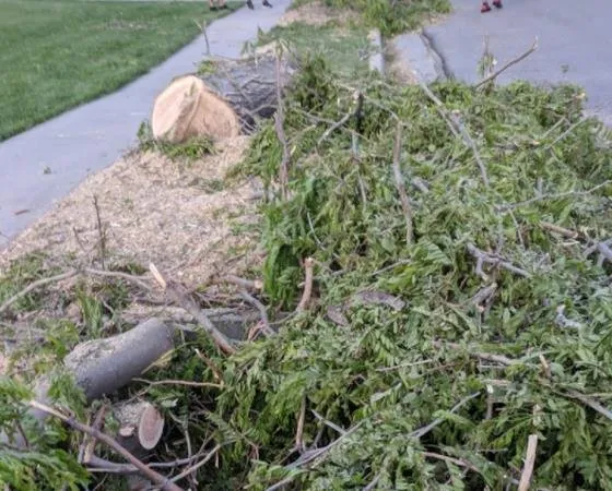 Reliable landscape installation experts serving Taylorsville, UT - Stali Services and Landscaping