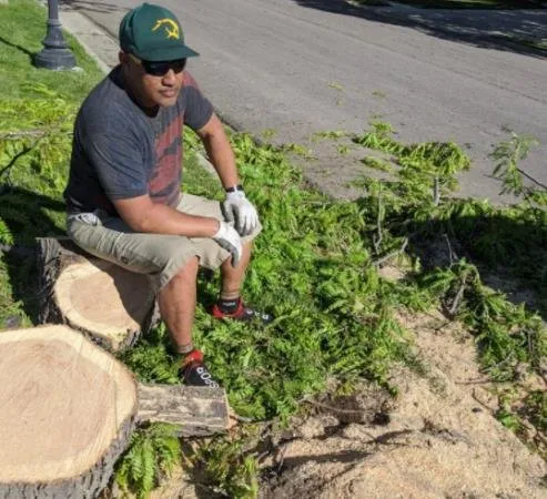 Trusted landscape installation near you in Taylorsville, UT by Stali Services and Landscaping