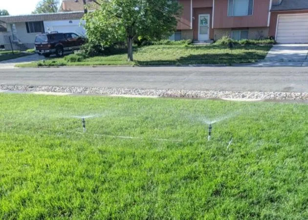 Professional landscaping services in Taylorsville, UT - Stali Services and Landscaping