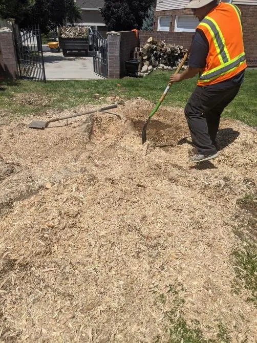 Professional lawn mowing service near you in Taylorsville, UT by Stali Services and Landscaping