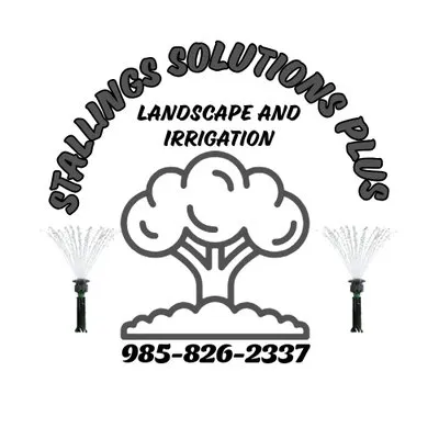 Stallings Solutions Plus Logo