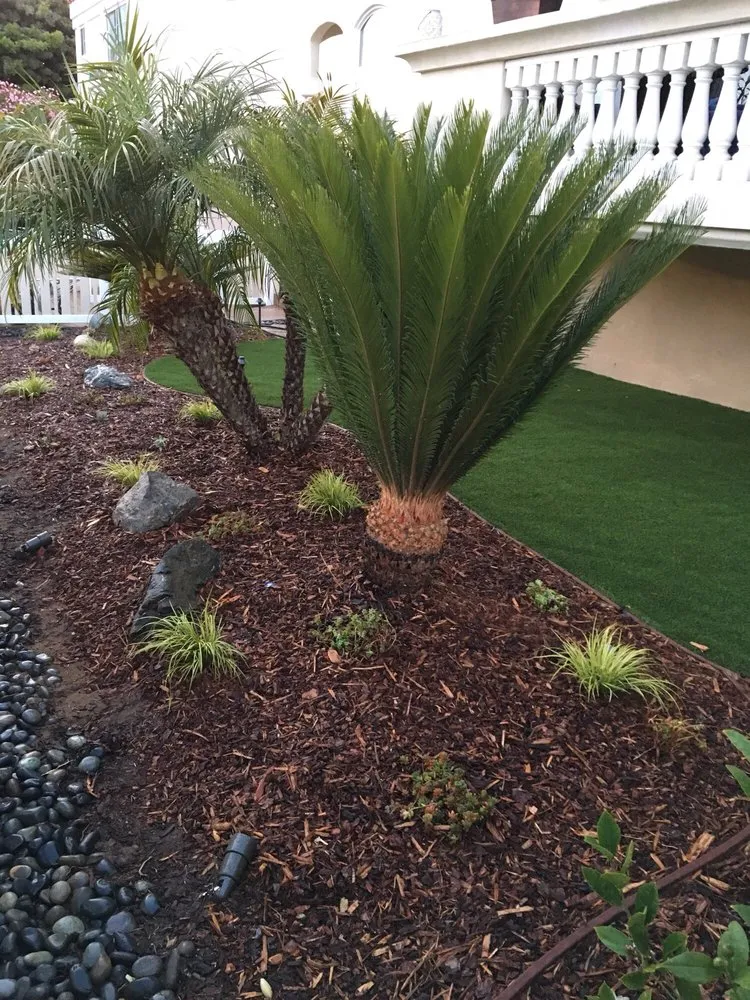 Local landscape design for year-round maintenance in Gardena, CA by Stallion Landscaping