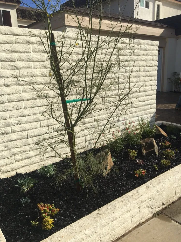 Professional residential landscaping experts serving Gardena, CA - Stallion Landscaping