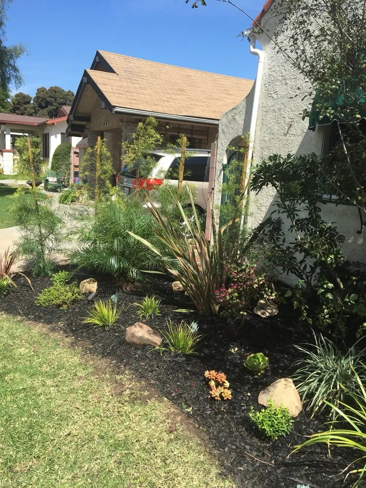 Local yard maintenance for homes in Gardena, CA by Stallion Landscaping