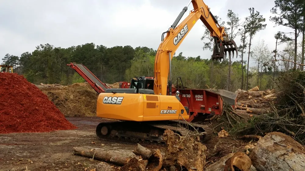 Expert lawn care service with custom design across Evans, GA - Stallion Tree Professionals