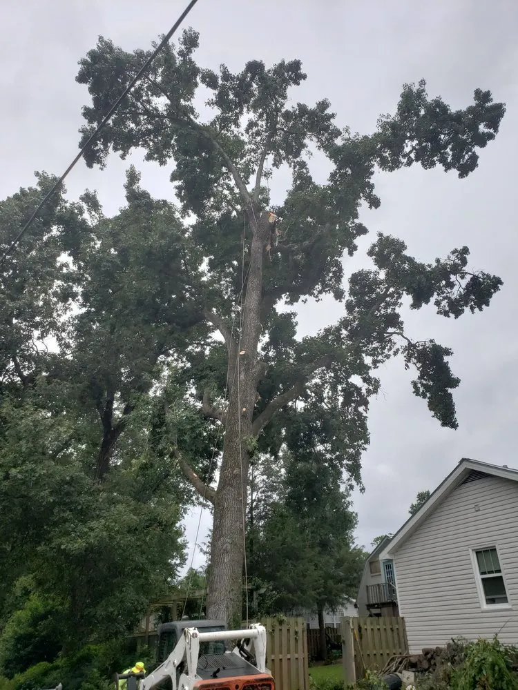 Local outdoor landscaping in Evans, GA - Stallion Tree Professionals