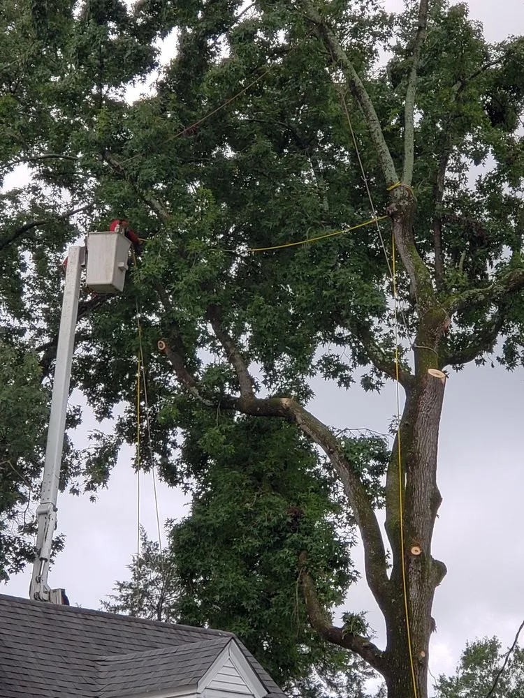 Trusted garden landscaping near you in Evans, GA by Stallion Tree Professionals