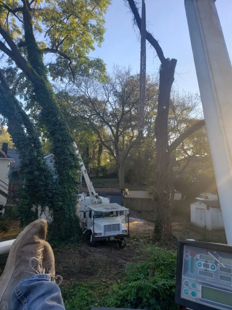 Local yard maintenance in Evans, GA - Stallion Tree Professionals