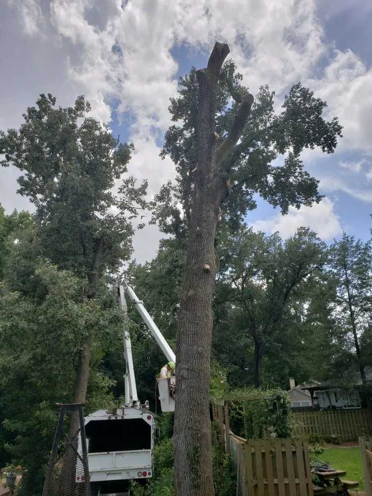 Custom garden landscaping experts serving Evans, GA - Stallion Tree Professionals