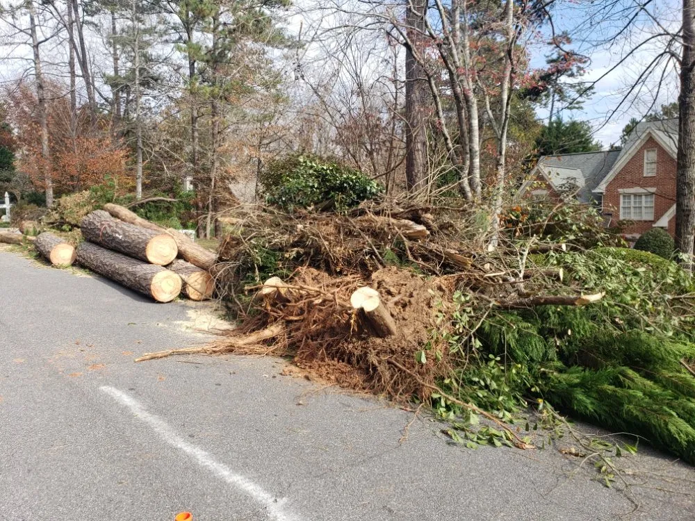 Custom landscape installation in Evans, GA - Stallion Tree Professionals