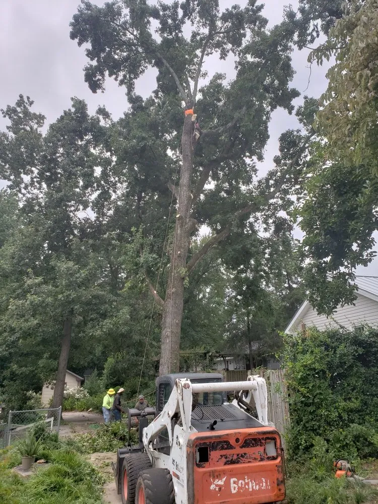 Custom lawn mowing service experts serving Evans, GA - Stallion Tree Professionals