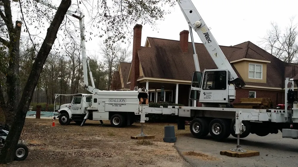 Affordable residential landscaping in Evans, GA - Stallion Tree Professionals