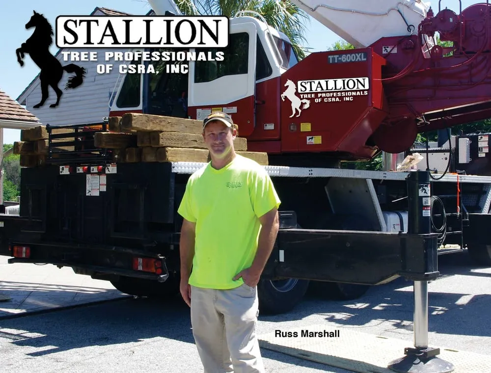 Expert landscaping services in Evans, GA - Stallion Tree Professionals