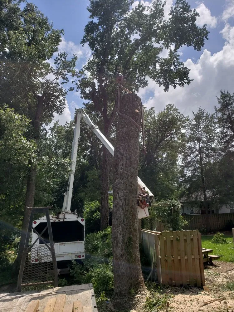 Professional landscape installation in Evans, GA - Stallion Tree Professionals