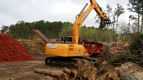 Stallion Tree Professionals Logo