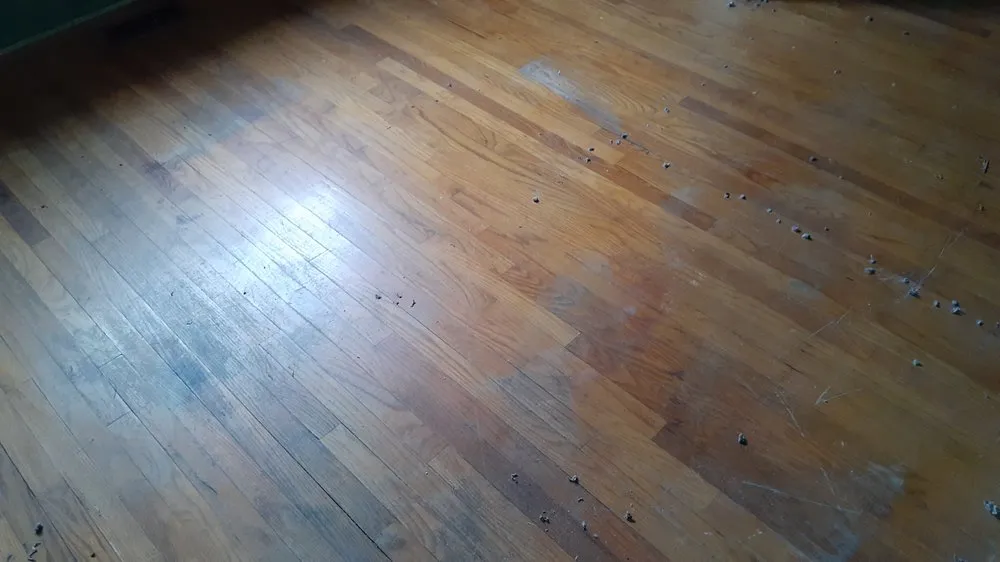 Top-rated landscape design in Inkster, MI - Stallworth Lawn Care Trash Out And Demo