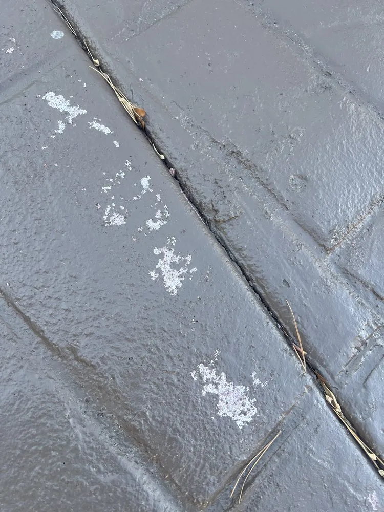 Professional landscape design in Lawrenceville, GA - Stamp Your Concrete 4 Less