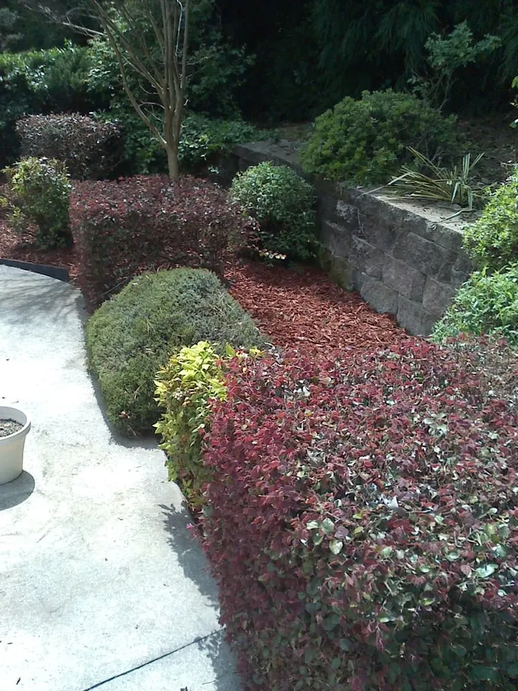 Top-rated lawn mowing service experts serving Kennesaw, GA - Stam's Landscape