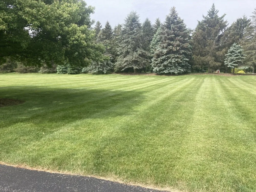 Professional residential landscaping for beautiful yards across Rochester, NY - Stan Basse Landscaping